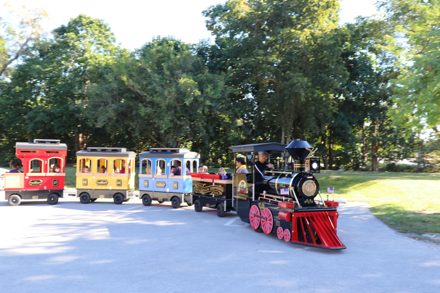 Train ride fun for all ages