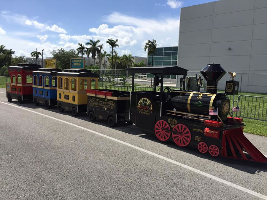 Train ride for birthday party guests