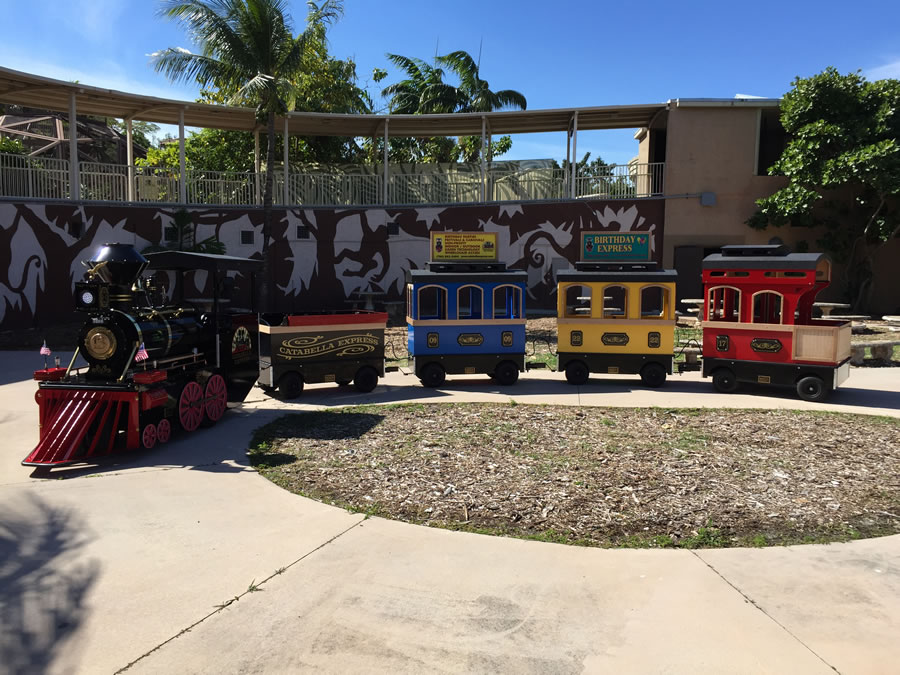 Train ride at a school fundraiser