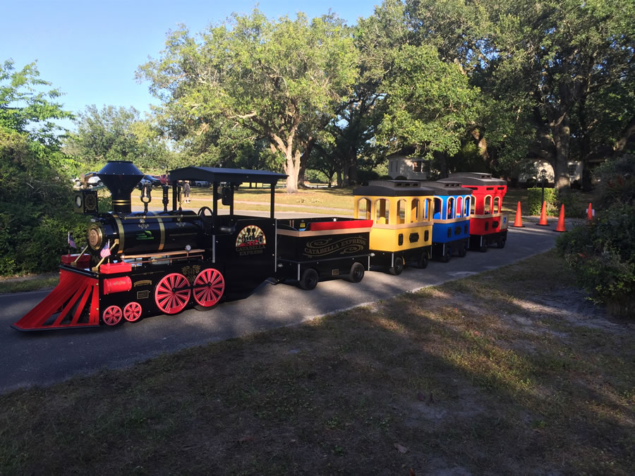Train ride at a family event