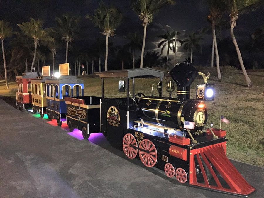 Train ride at a birthday event